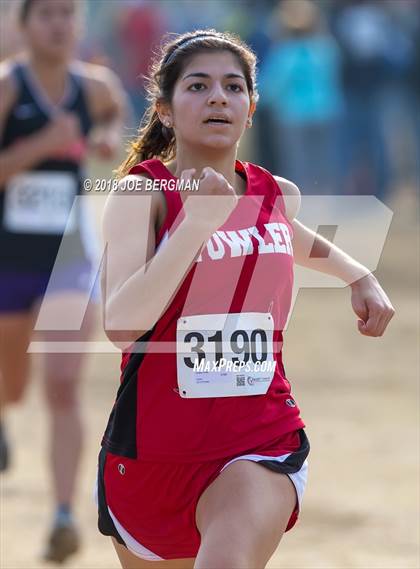 Thumbnail 1 in CIF Central Section Cross Country Championships (Girls D4 Race) photogallery.