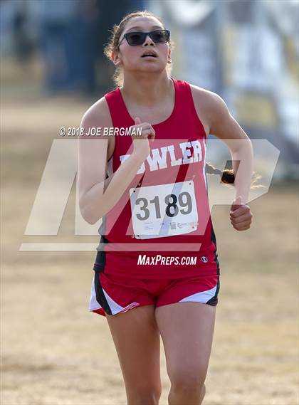 Thumbnail 2 in CIF Central Section Cross Country Championships (Girls D4 Race) photogallery.