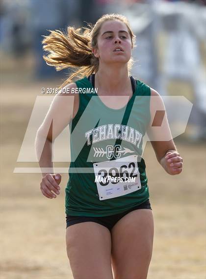 Thumbnail 2 in CIF Central Section Cross Country Championships (Girls D4 Race) photogallery.