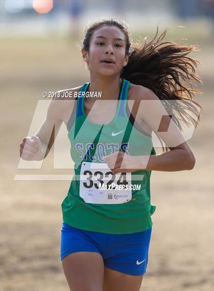 Thumbnail 2 in CIF Central Section Cross Country Championships (Girls D4 Race) photogallery.