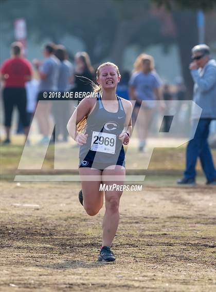 Thumbnail 1 in CIF Central Section Cross Country Championships (Girls D4 Race) photogallery.