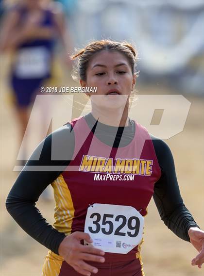 Thumbnail 3 in CIF Central Section Cross Country Championships (Girls D4 Race) photogallery.