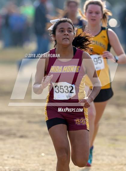 Thumbnail 2 in CIF Central Section Cross Country Championships (Girls D4 Race) photogallery.