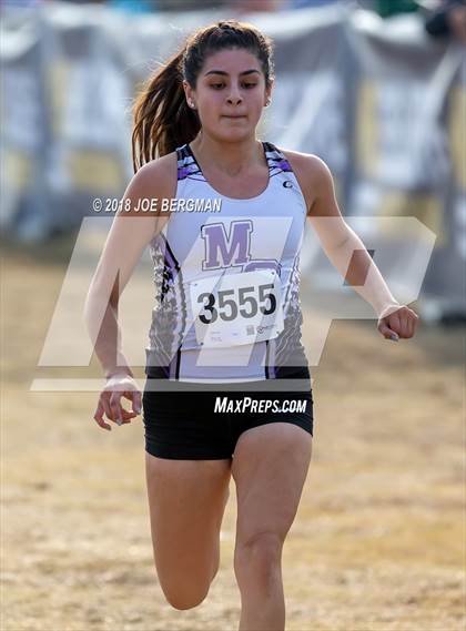 Thumbnail 2 in CIF Central Section Cross Country Championships (Girls D4 Race) photogallery.