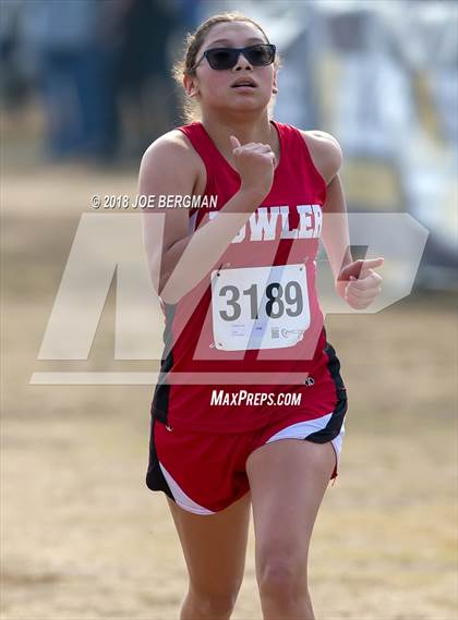 Thumbnail 3 in CIF Central Section Cross Country Championships (Girls D4 Race) photogallery.