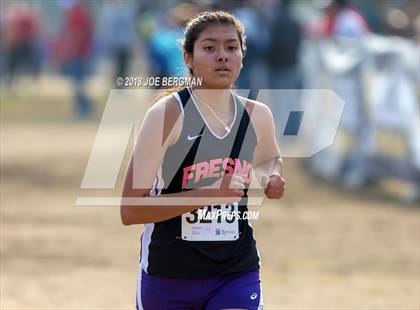 Thumbnail 2 in CIF Central Section Cross Country Championships (Girls D4 Race) photogallery.