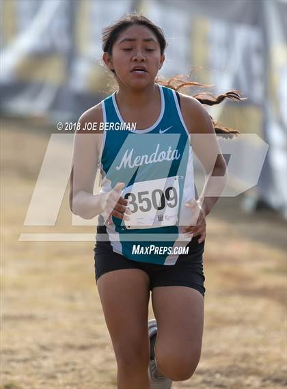 Thumbnail 3 in CIF Central Section Cross Country Championships (Girls D4 Race) photogallery.