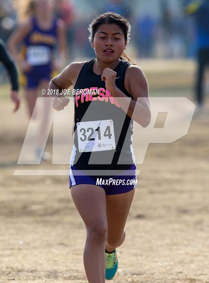 Thumbnail 1 in CIF Central Section Cross Country Championships (Girls D4 Race) photogallery.