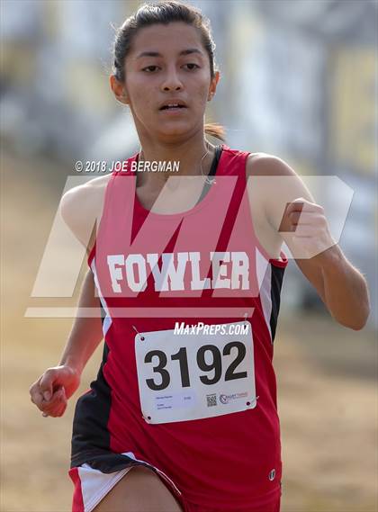 Thumbnail 1 in CIF Central Section Cross Country Championships (Girls D4 Race) photogallery.