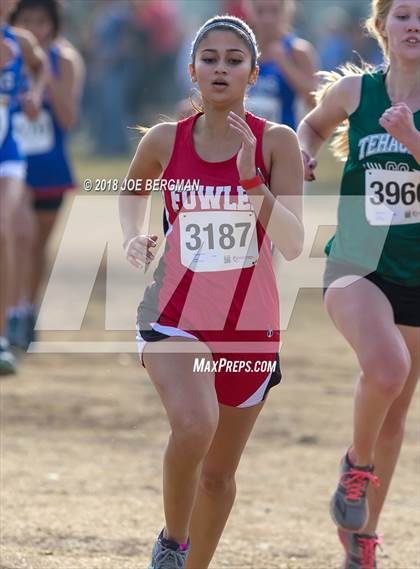 Thumbnail 2 in CIF Central Section Cross Country Championships (Girls D4 Race) photogallery.