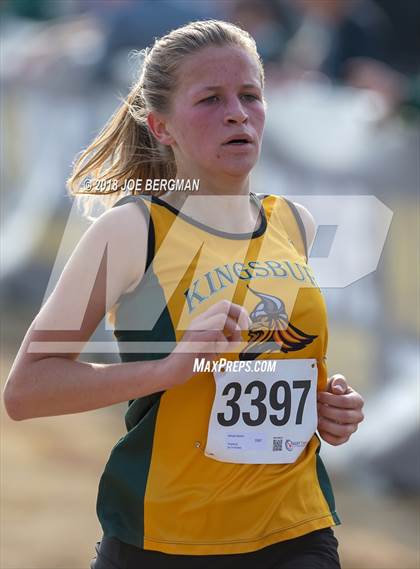 Thumbnail 1 in CIF Central Section Cross Country Championships (Girls D4 Race) photogallery.