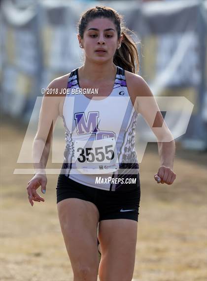 Thumbnail 3 in CIF Central Section Cross Country Championships (Girls D4 Race) photogallery.