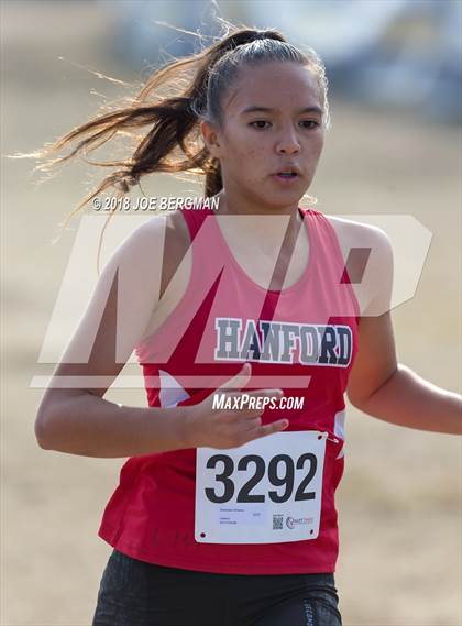 Thumbnail 1 in CIF Central Section Cross Country Championships (Girls D4 Race) photogallery.