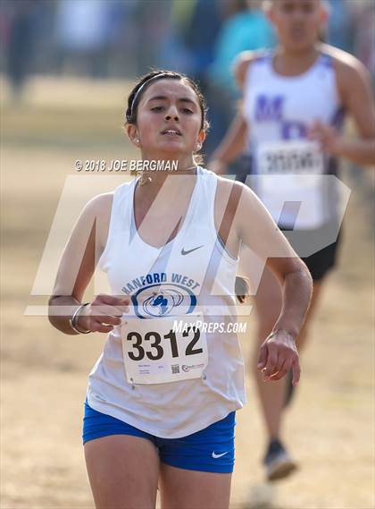 Thumbnail 3 in CIF Central Section Cross Country Championships (Girls D4 Race) photogallery.