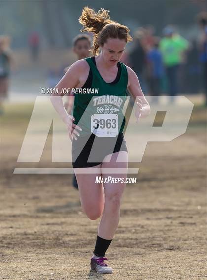 Thumbnail 2 in CIF Central Section Cross Country Championships (Girls D4 Race) photogallery.