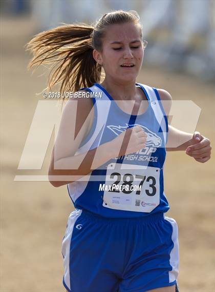 Thumbnail 1 in CIF Central Section Cross Country Championships (Girls D4 Race) photogallery.