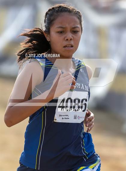 Thumbnail 3 in CIF Central Section Cross Country Championships (Girls D4 Race) photogallery.