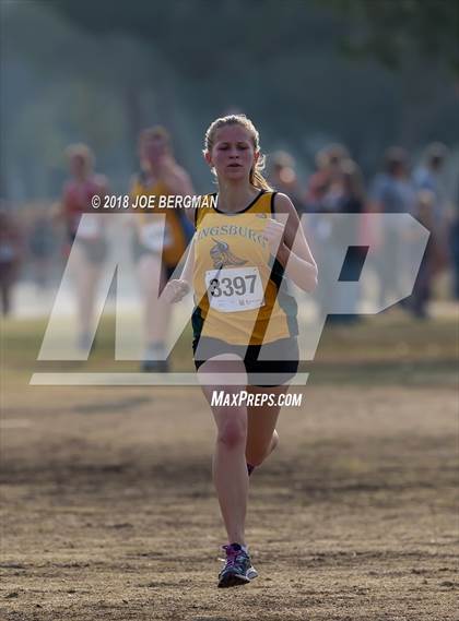 Thumbnail 2 in CIF Central Section Cross Country Championships (Girls D4 Race) photogallery.