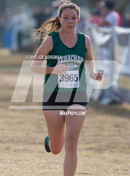 Thumbnail 3 in CIF Central Section Cross Country Championships (Girls D4 Race) photogallery.