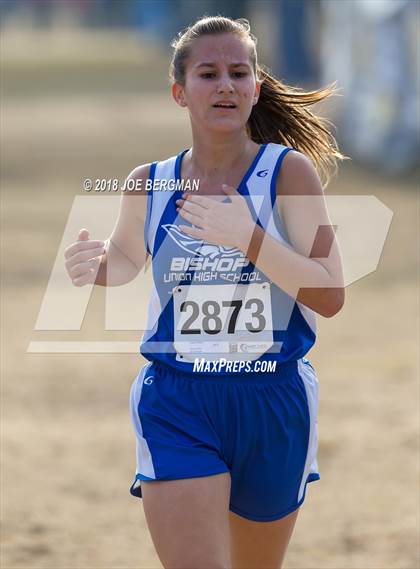 Thumbnail 2 in CIF Central Section Cross Country Championships (Girls D4 Race) photogallery.