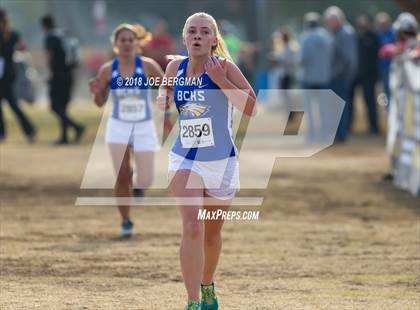 Thumbnail 1 in CIF Central Section Cross Country Championships (Girls D4 Race) photogallery.