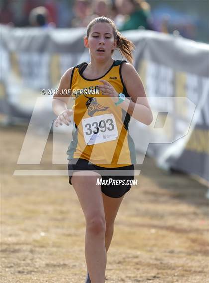 Thumbnail 2 in CIF Central Section Cross Country Championships (Girls D4 Race) photogallery.