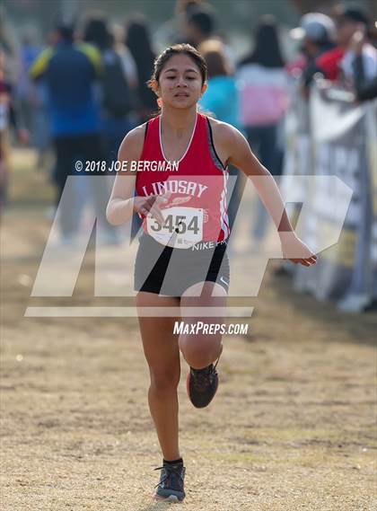 Thumbnail 2 in CIF Central Section Cross Country Championships (Girls D4 Race) photogallery.