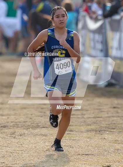 Thumbnail 1 in CIF Central Section Cross Country Championships (Girls D4 Race) photogallery.