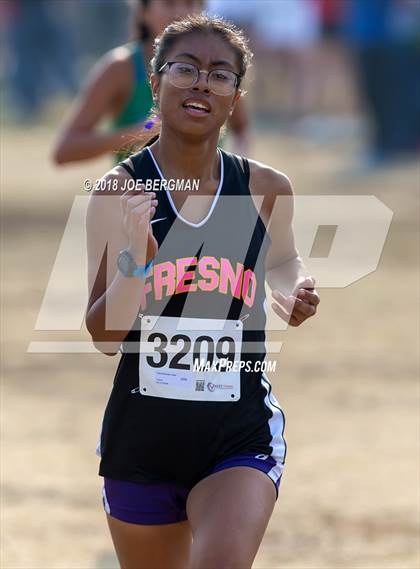 Thumbnail 1 in CIF Central Section Cross Country Championships (Girls D4 Race) photogallery.