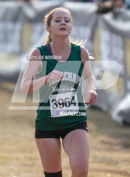 Thumbnail 2 in CIF Central Section Cross Country Championships (Girls D4 Race) photogallery.