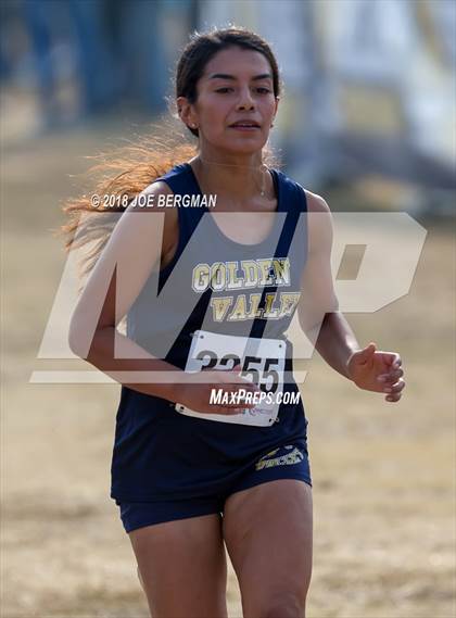 Thumbnail 3 in CIF Central Section Cross Country Championships (Girls D4 Race) photogallery.