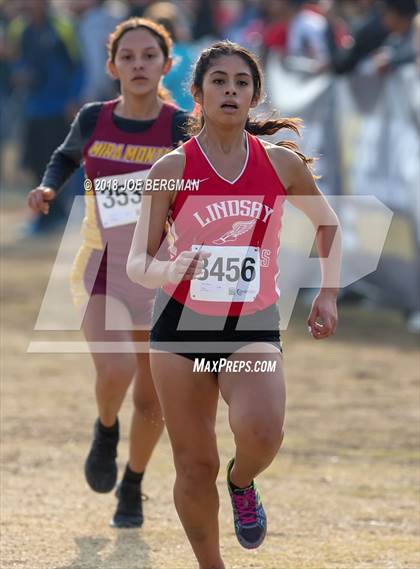Thumbnail 2 in CIF Central Section Cross Country Championships (Girls D4 Race) photogallery.