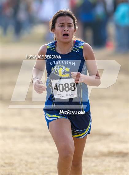 Thumbnail 1 in CIF Central Section Cross Country Championships (Girls D4 Race) photogallery.