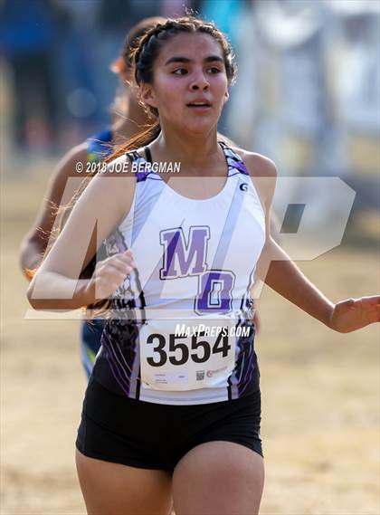 Thumbnail 2 in CIF Central Section Cross Country Championships (Girls D4 Race) photogallery.