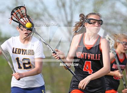 Thumbnail 1 in Montville @ Ledyard photogallery.