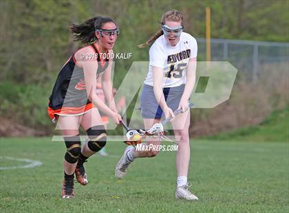 Thumbnail 1 in Montville @ Ledyard photogallery.