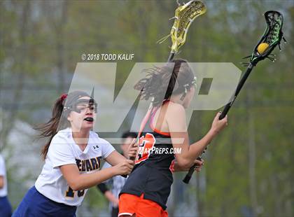Thumbnail 1 in Montville @ Ledyard photogallery.
