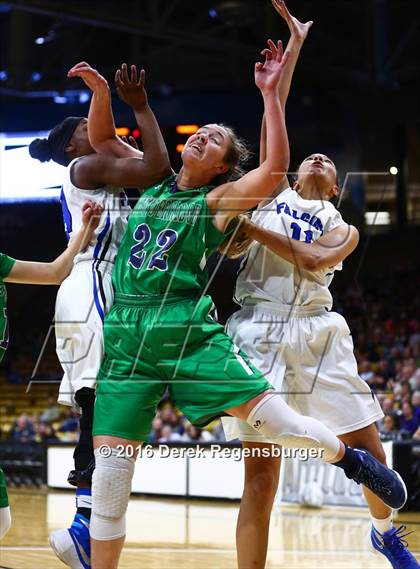 Thumbnail 3 in ThunderRidge vs Highlands Ranch (CHSAA 5A Final) photogallery.