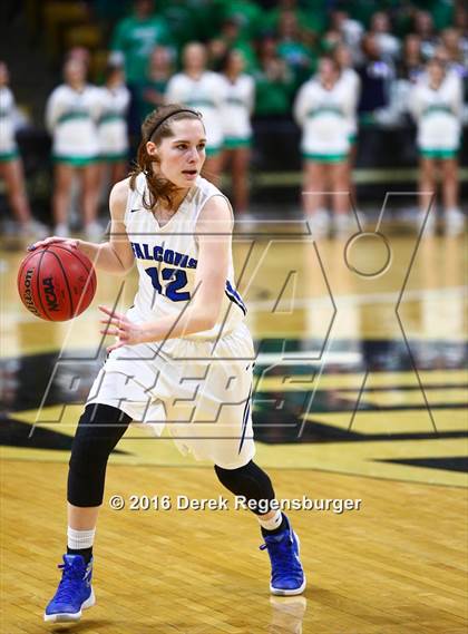 Thumbnail 3 in ThunderRidge vs Highlands Ranch (CHSAA 5A Final) photogallery.