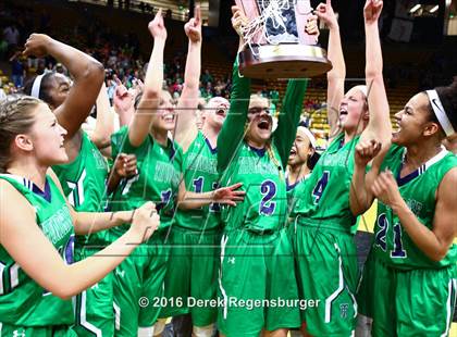 Thumbnail 3 in ThunderRidge vs Highlands Ranch (CHSAA 5A Final) photogallery.