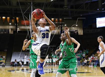 Thumbnail 3 in ThunderRidge vs Highlands Ranch (CHSAA 5A Final) photogallery.
