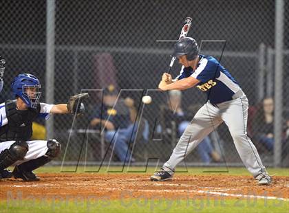 Thumbnail 1 in Boca Ciega @ Dixie Hollins photogallery.