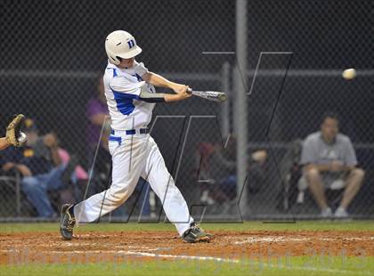 Thumbnail 3 in Boca Ciega @ Dixie Hollins photogallery.