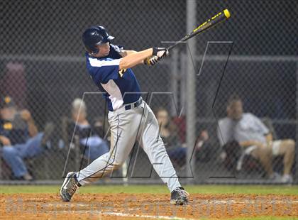 Thumbnail 2 in Boca Ciega @ Dixie Hollins photogallery.
