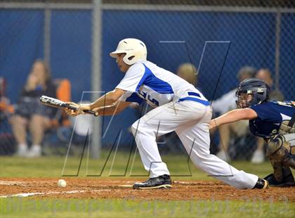Thumbnail 1 in Boca Ciega @ Dixie Hollins photogallery.