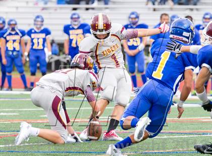 Thumbnail 1 in Washingtonville @ Kingston photogallery.