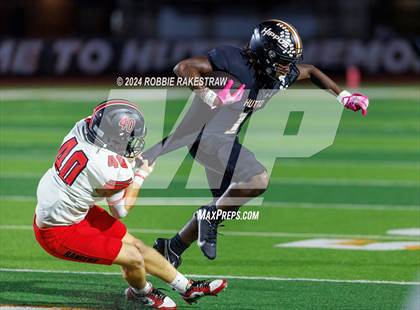 Thumbnail 3 in Vista Ridge @ Hutto photogallery.