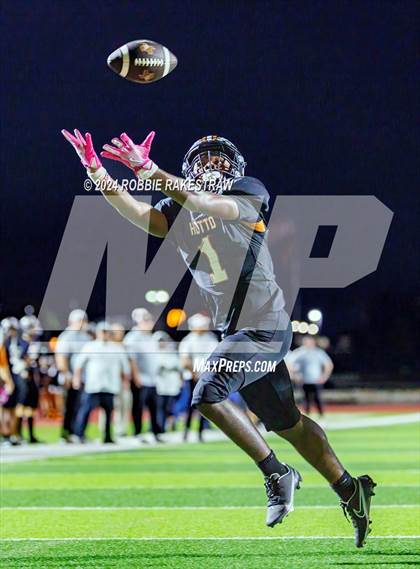 Thumbnail 3 in Vista Ridge @ Hutto photogallery.