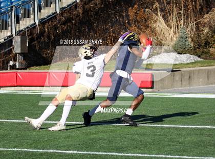 Thumbnail 2 in Pope John XXIII vs. St. Bernard's Central Catholic (MIAA Division 8 Final) photogallery.