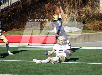 Thumbnail 1 in Pope John XXIII vs. St. Bernard's Central Catholic (MIAA Division 8 Final) photogallery.